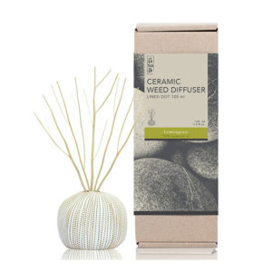 Ceramic Line Dot 100ml